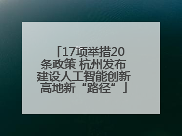 17项举措20条政策 杭州发布建设人工智能创新高地新“路径”