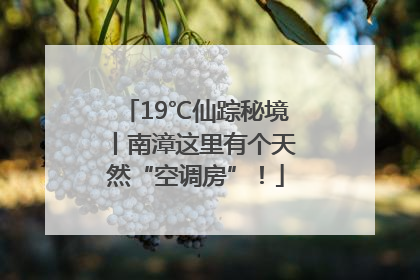 19℃仙踪秘境丨南漳这里有个天然“空调房”！