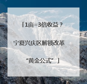 1亩=3倍收益？宁夏兴庆区解锁改革“黄金公式”