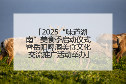 2025“味道湖南”美食季启动仪式暨岳阳啤酒美食文化交流推广活动举办