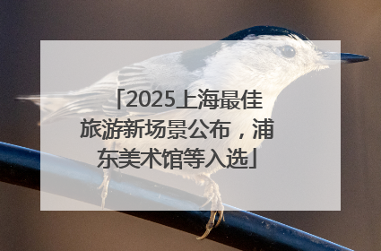 2025上海最佳旅游新场景公布，浦东美术馆等入选