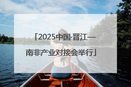 2025中国·晋江—南非产业对接会举行