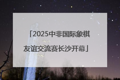 2025中非国际象棋友谊交流赛长沙开幕