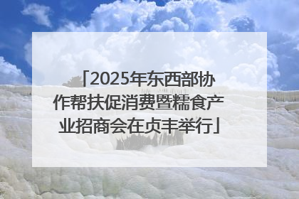 2025年东西部协作帮扶促消费暨糯食产业招商会在贞丰举行