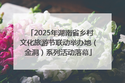 2025年湖南省乡村文化旅游节联动举办地（金洞）系列活动落幕