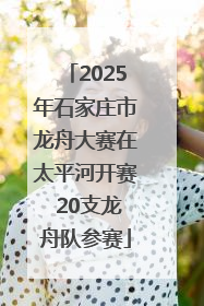 2025年石家庄市龙舟大赛在太平河开赛 20支龙舟队参赛