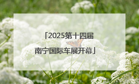 2025第十四届南宁国际车展开幕