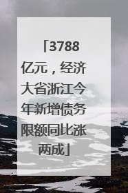 3788亿元，经济大省浙江今年新增债务限额同比涨两成