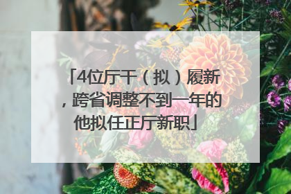 4位厅干（拟）履新，跨省调整不到一年的他拟任正厅新职