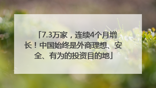 7.3万家，连续4个月增长！中国始终是外商理想、安全、有为的投资目的地