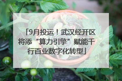 9月投运！武汉经开区将添“算力引擎”赋能千行百业数字化转型