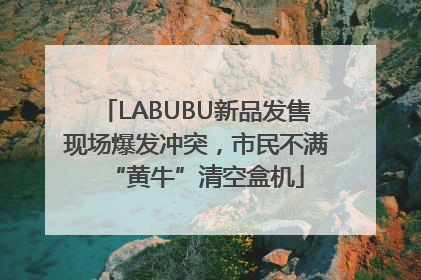 LABUBU新品发售现场爆发冲突，市民不满“黄牛”清空盒机